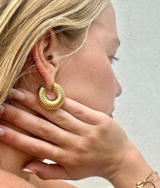 Shell Earrings